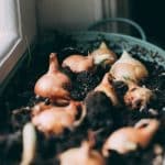 Self-Sustaining Eco-Resorts: Closed-Loop Systems for Zero Waste