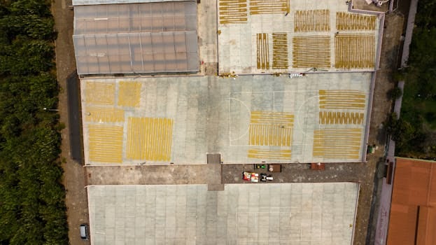 Vertical Farming in Urban Areas: Sustainable Food Production