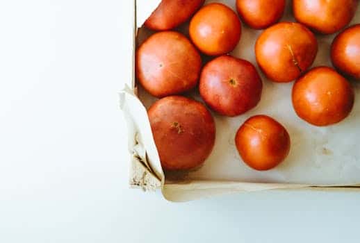 Personalized Nutrition Plans: AI-Driven Diets Based on Genetic Data