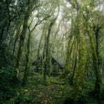 Fighting Overtourism: Discovering Hidden Gems Beyond the Tourist Hotspots.