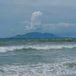 Neuroscience and Learning: Latest Breakthroughs