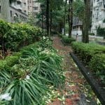 Green Infrastructure: Urban Parks and Green Roofs for Climate Resilience