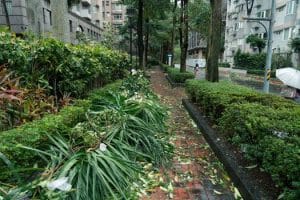 Green Infrastructure: Urban Parks and Green Roofs for Climate Resilience