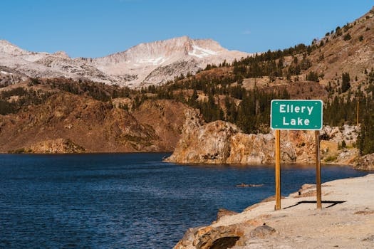 Nostalgia Travel: Revisiting 90s Summer Camps in the U.S.