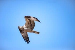 Reward Flight Hacking: Combining Points for Round-the-World Trips