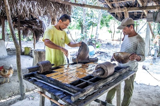 Community Kitchens: Shared Spaces for Sustainable Cooking