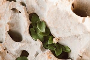 Mindset Education: Fostering Growth and Resilience