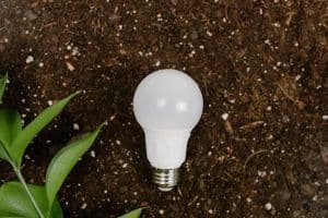 Eco-Friendly Dishwashers: Biodegradable Detergents and Reduced Water Use