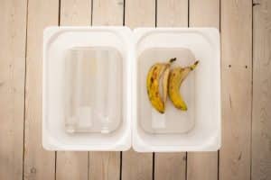 Sustainability in Education: Reducing Environmental Impact