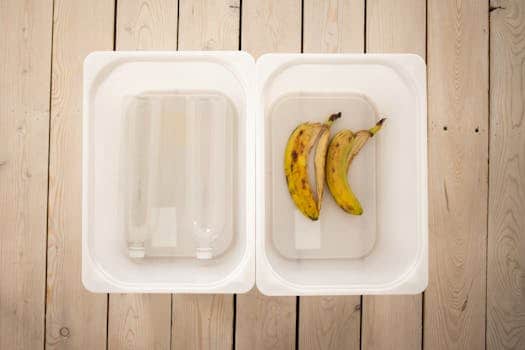 Sustainability in Education: Reducing Environmental Impact
