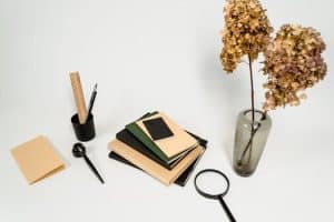 Green Schools: Sustainability in Education