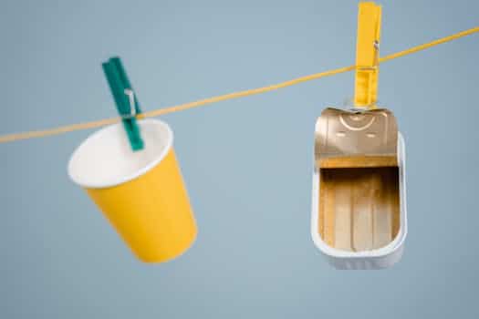 Upcycled Alchemy: Transforming Waste into Culinary Gold.