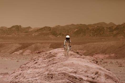 Mars Colony Tourism: Simulating Red Planet Experiences
