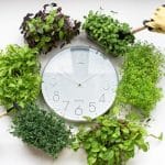 Sustainable Tourism: Finding The Balance of the Natural World.