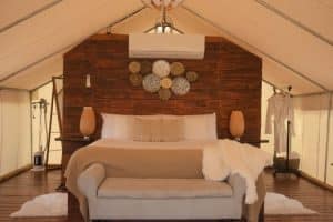 Budget-Friendly Accommodations: Hostels and Guesthouses