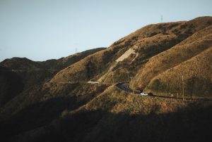 Shared Mobility: The Rise of Ride-Sharing and Car-Sharing Services.