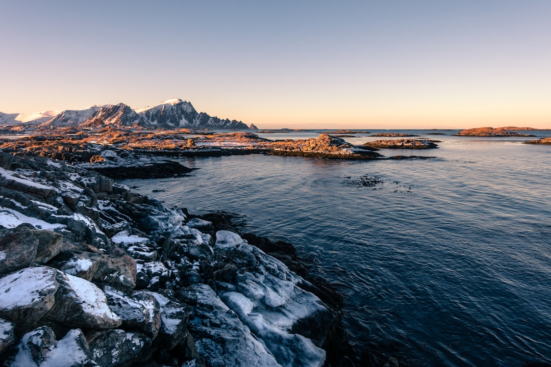 Emission Regulations: Navigating the Evolving Political Landscape.