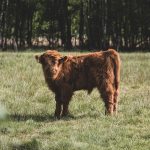 Raw Material Costs: How Suppliers Navigate Rising Expenses.