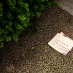 The Rise of the Software-Defined Vehicle: A New Era of Car Ownership.